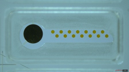 Life Sciences