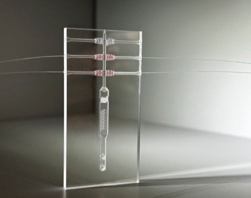 Glass Microfluidics: Driving Biotech Innovation at the 2025 Microfluidics ...