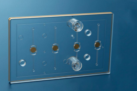 Pioneering the Future of Drug Discovery with Organ-on-Chip ...