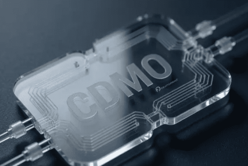 Trusted CDMO with Swiss Precision: How Specification Holding Works at ...