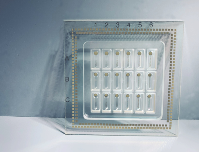 Bio-Chemical Sensing