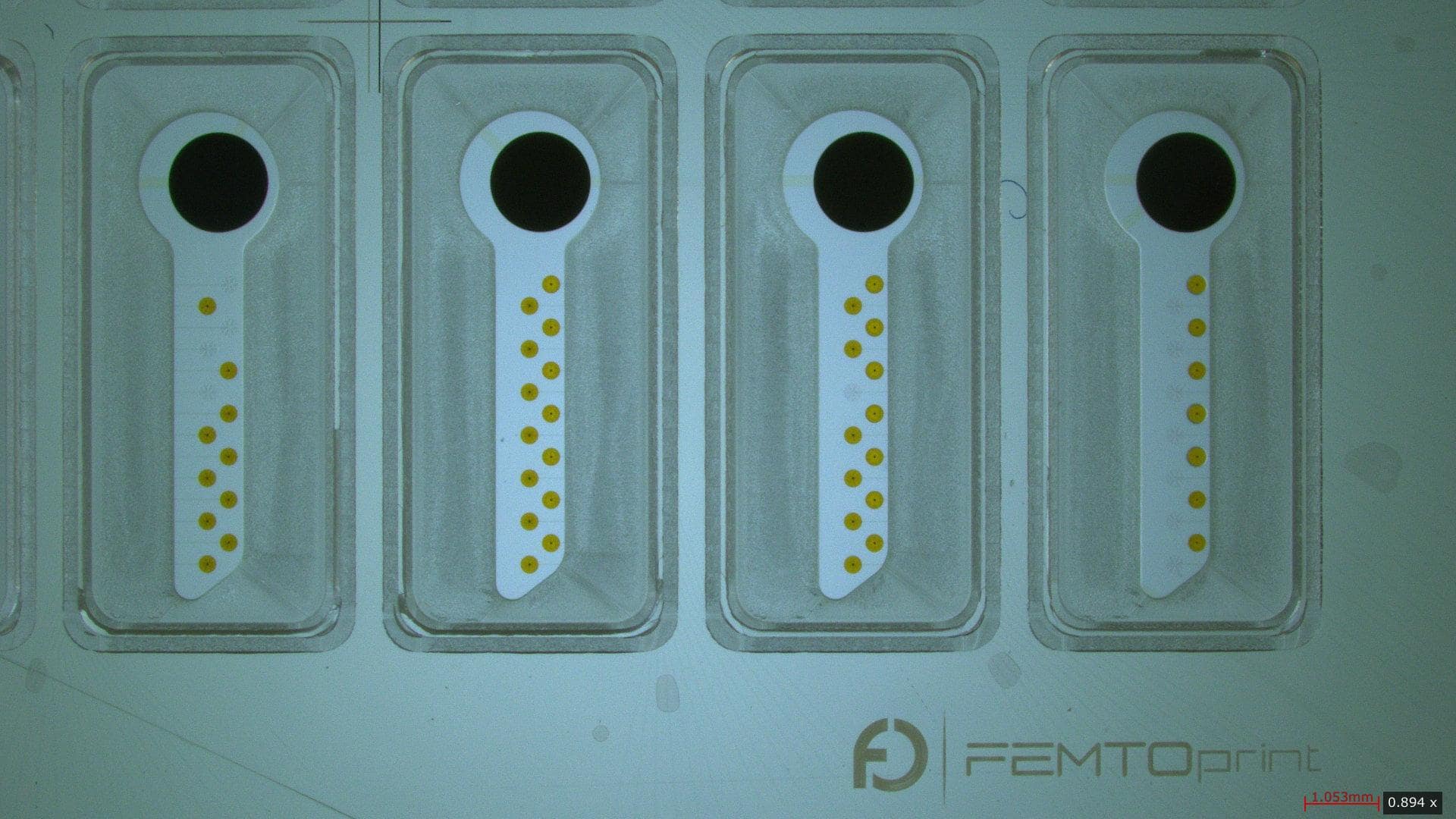 Cell Therapies